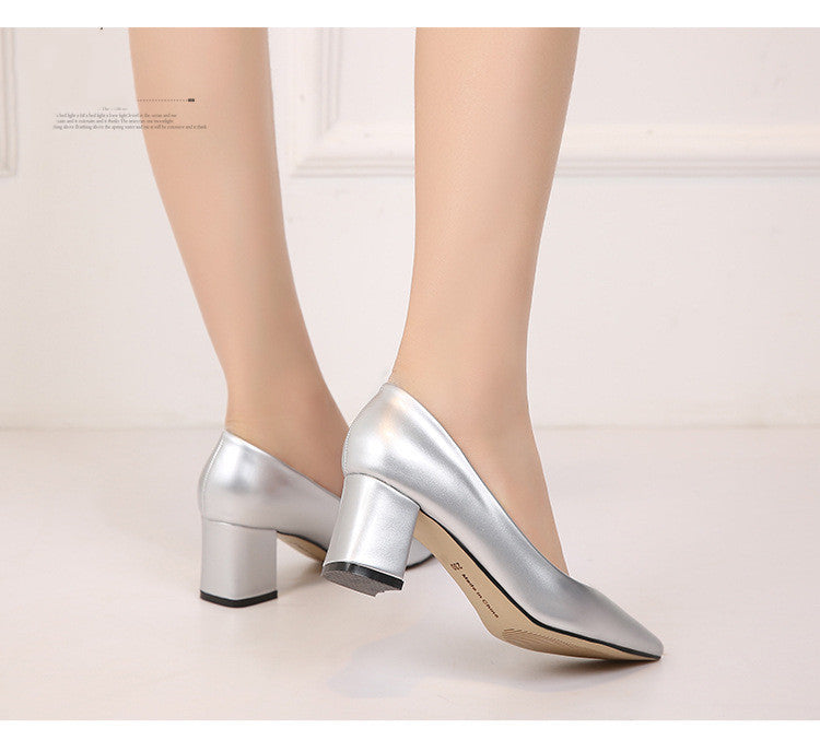 Pointed chunky heels Limorista