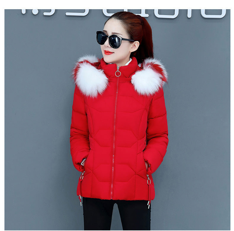 Female Short Cotton Coat Thickened Slim Fit Fashionable Jacket Limorista