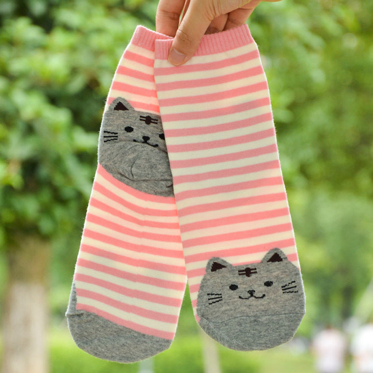 Autumn Korean cartoon socks ladies cotton socks socks wholesale in tubefun factory wholesale Limorista