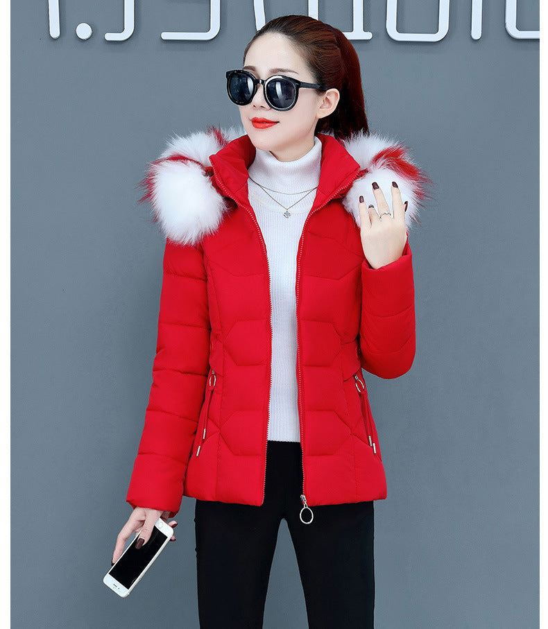 Female Short Cotton Coat Thickened Slim Fit Fashionable Jacket Limorista
