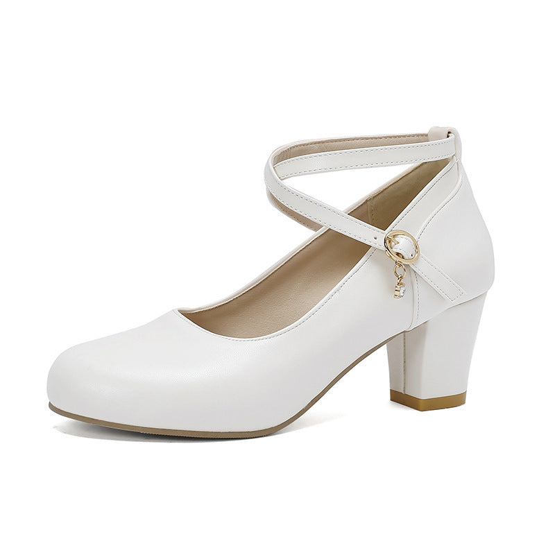 Chunky Heel High Heel Shoes Mary Jane Shoes Work Shoes Limorista