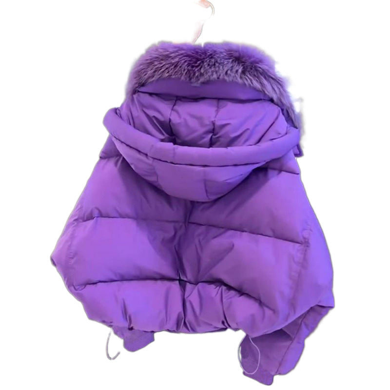 Small Temperament Warm Short Coat Thickened Padded Jacket Limorista