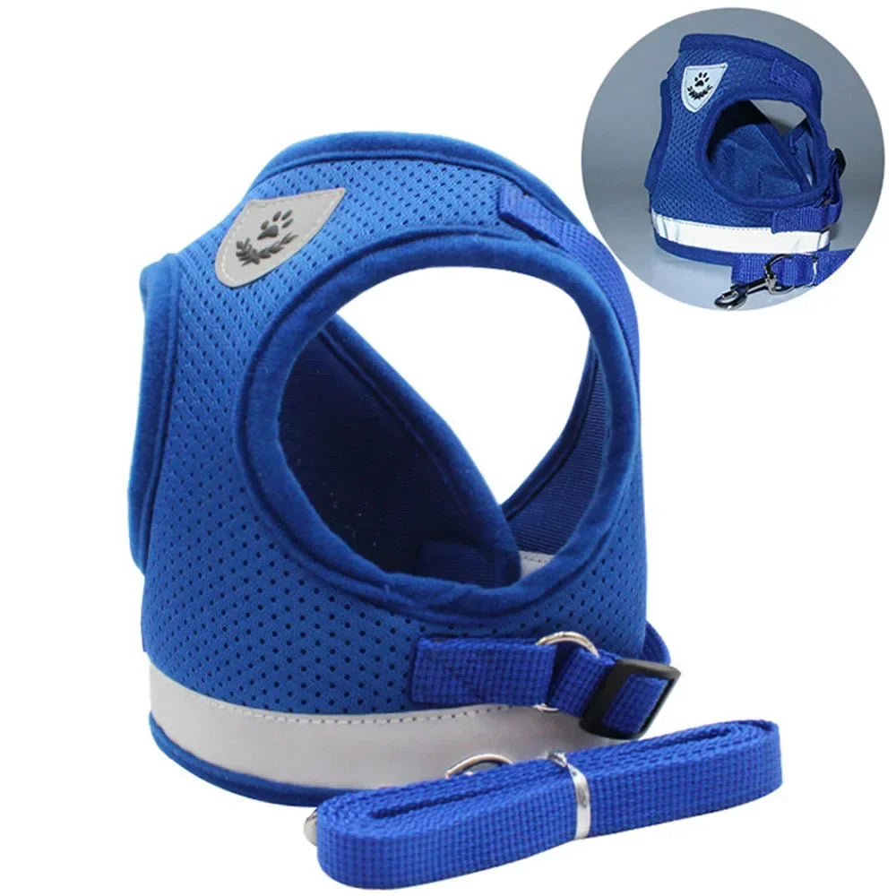 Limorista | Premium Adjustable Kiity Harness Leash Set Limorista