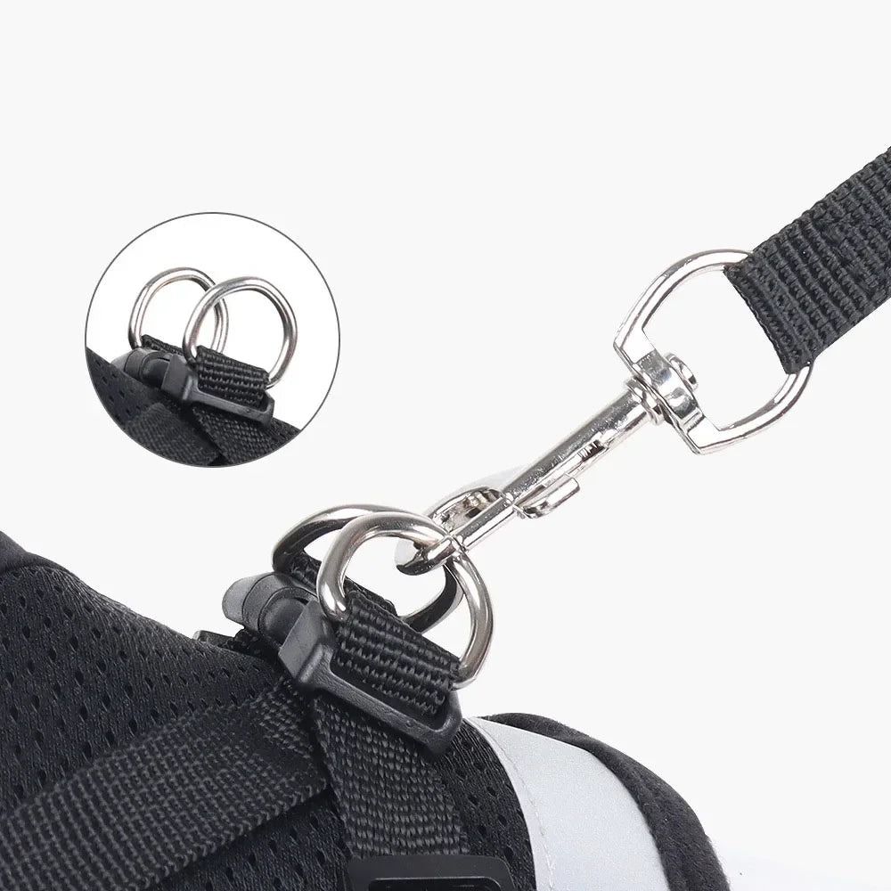 Limorista | Premium Adjustable Kiity Harness Leash Set Limorista