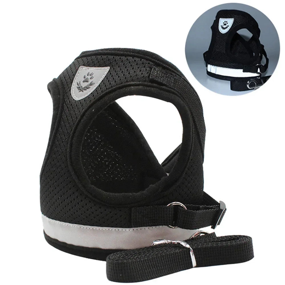 Limorista | Premium Adjustable Kiity Harness Leash Set Limorista