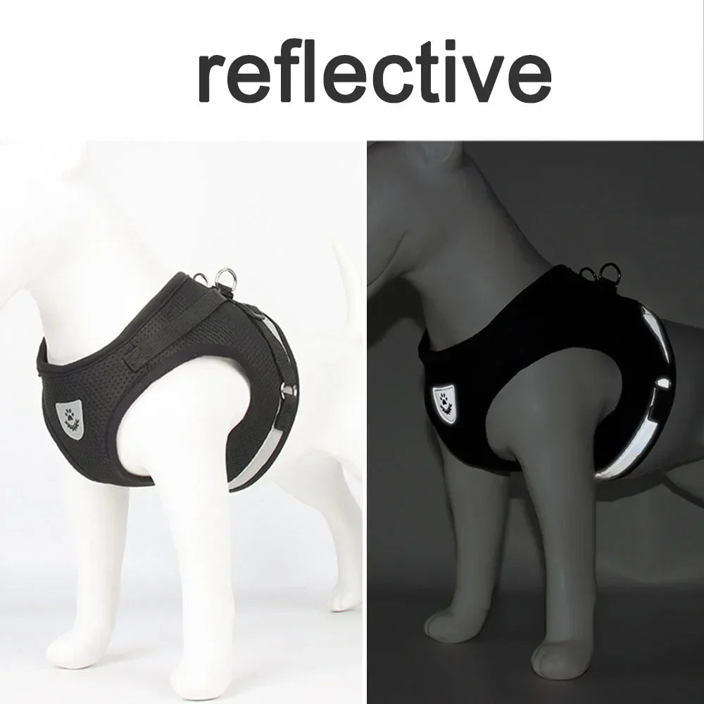 Limorista | Premium Adjustable Kiity Harness Leash Set Limorista