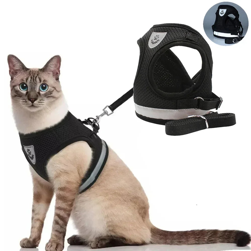 Limorista | Premium Adjustable Kiity Harness Leash Set Limorista