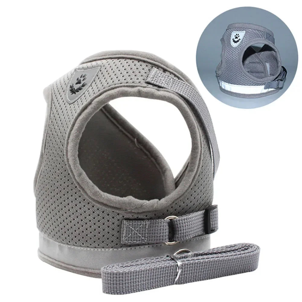 Limorista | Premium Adjustable Kiity Harness Leash Set Limorista