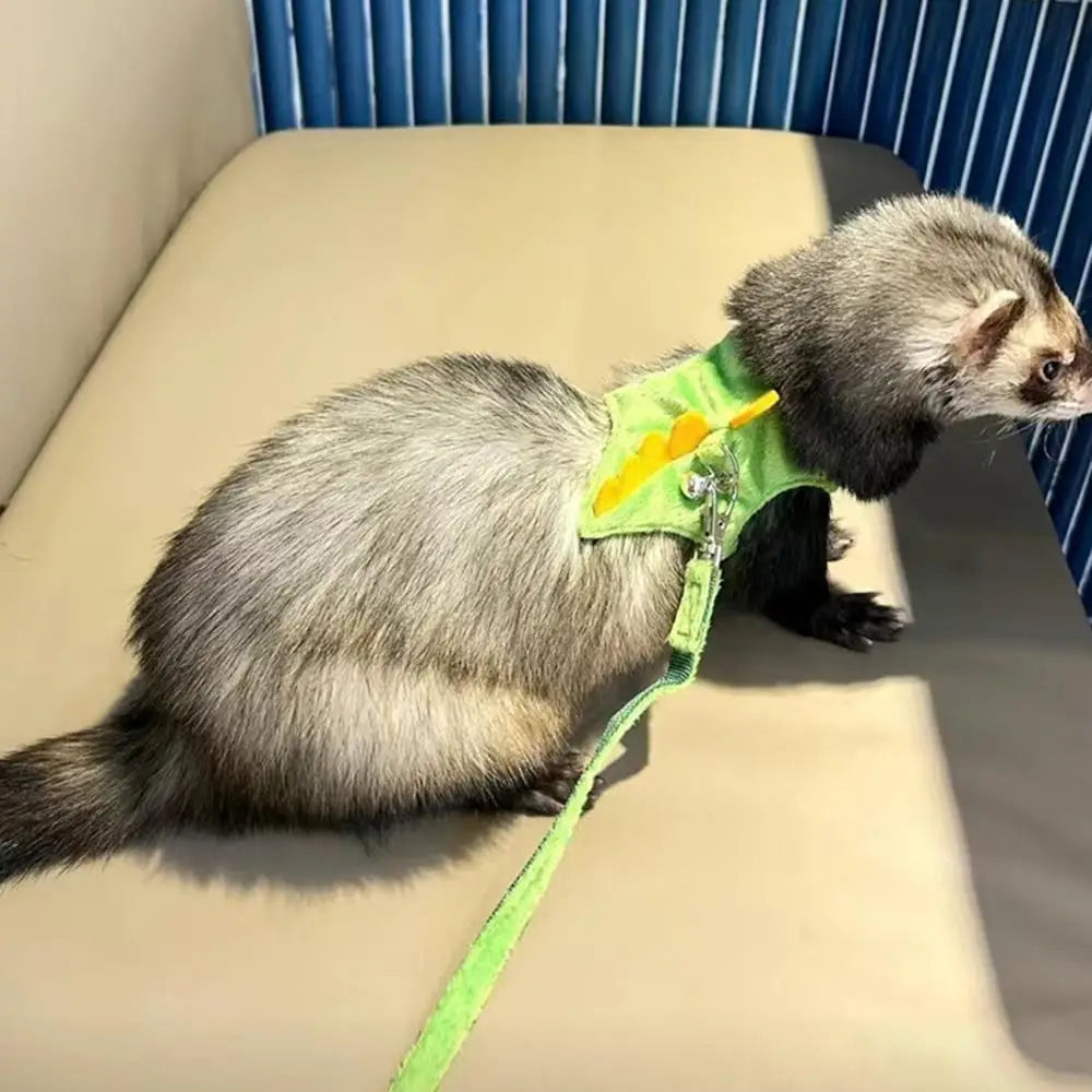 Limorista | Ferret Harness Vest – Adjustable Dinosaur Design with Bell for Outdoor Walks Limorista