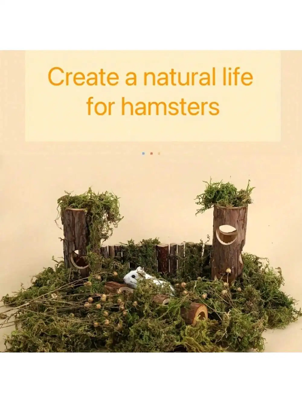 Limorista | BurrowHaven Den