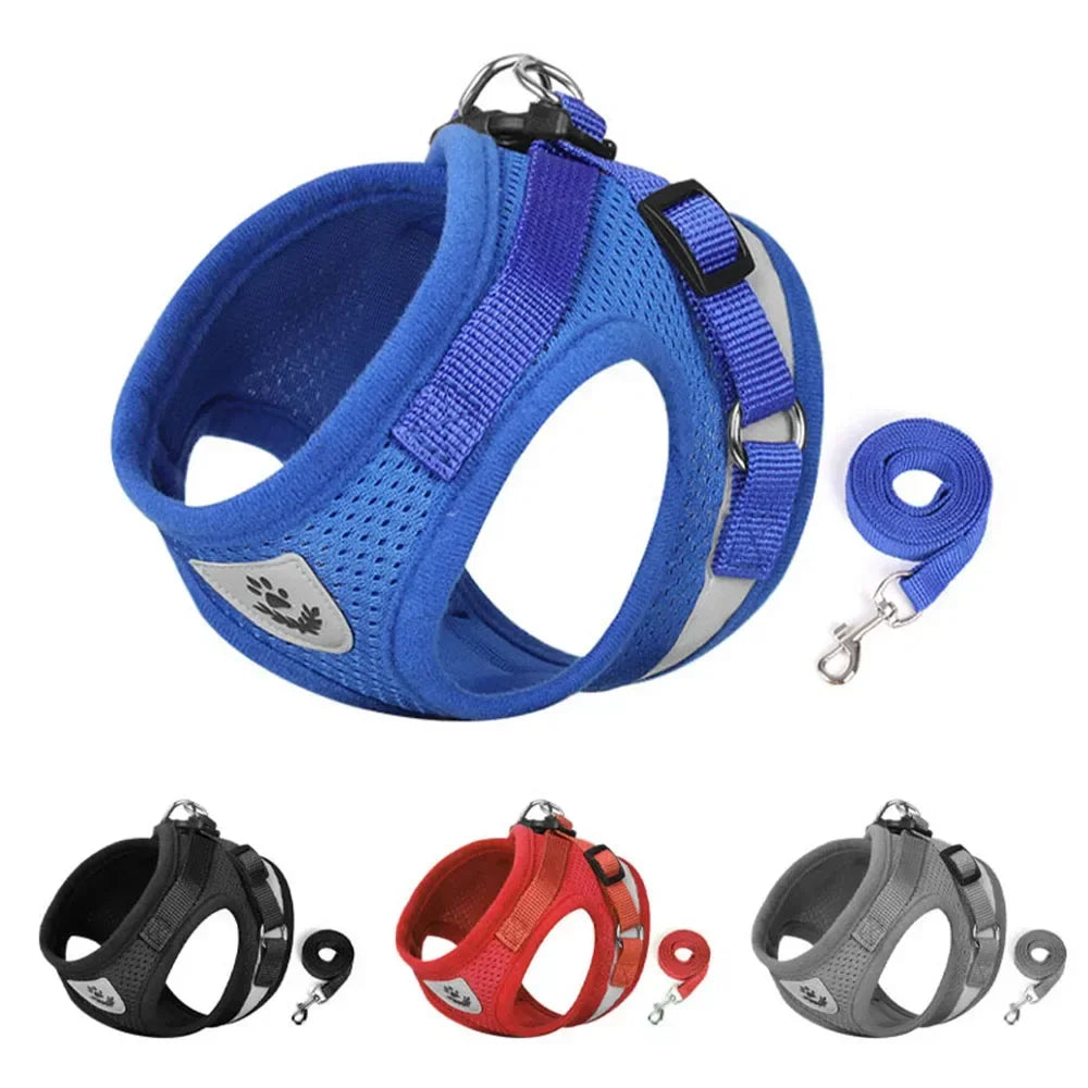 Limorista | Premium Adjustable Kiity Harness Leash Set Limorista