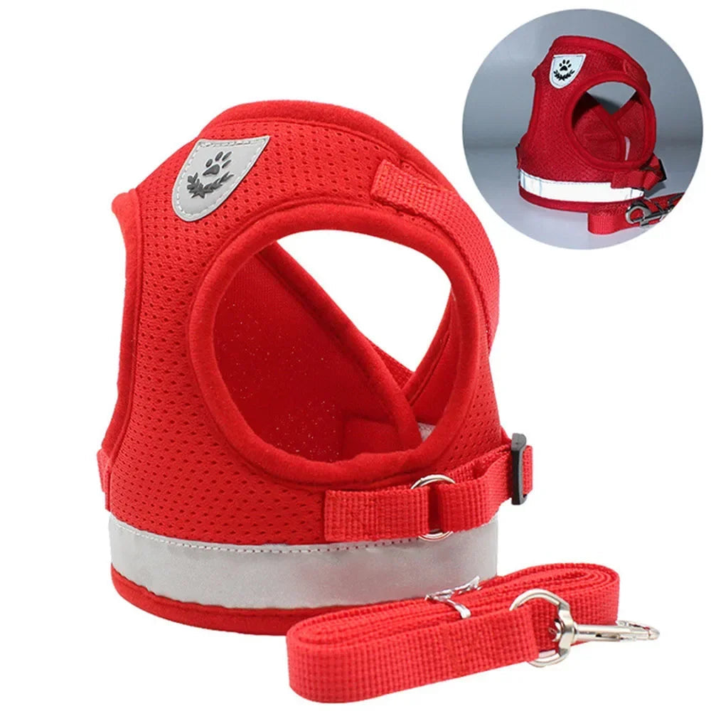 Limorista | Premium Adjustable Kiity Harness Leash Set Limorista