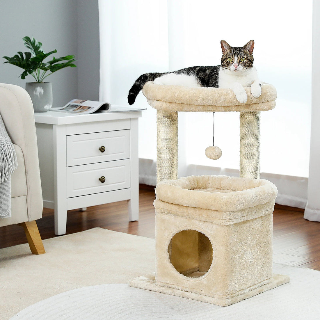 Limorista | CloudPurr Haven Tree Limorista