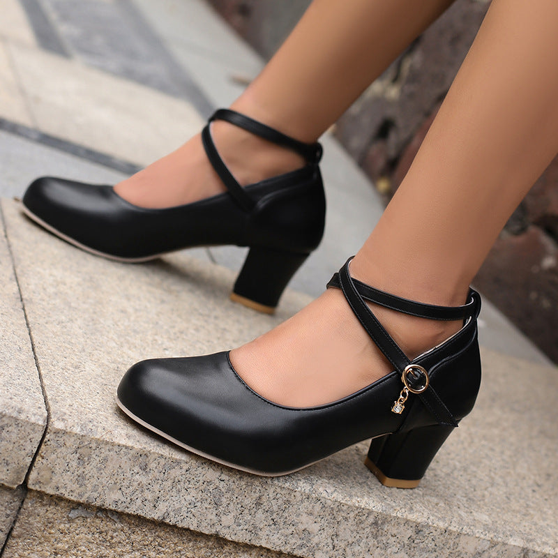 Chunky Heel High Heel Shoes Mary Jane Shoes Work Shoes Limorista