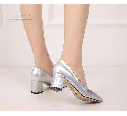 Pointed chunky heels Limorista