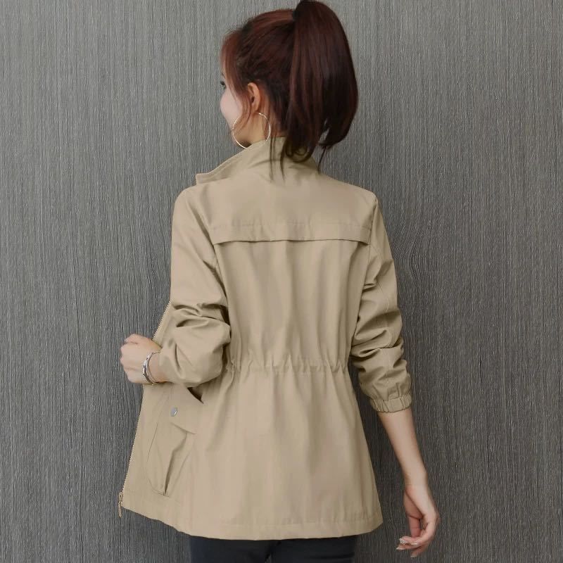 Korean Style Windbreaker With Waist And Slim Limorista