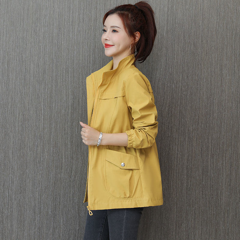 Korean Style Windbreaker With Waist And Slim Limorista