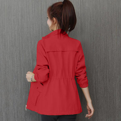 Korean Style Windbreaker With Waist And Slim Limorista