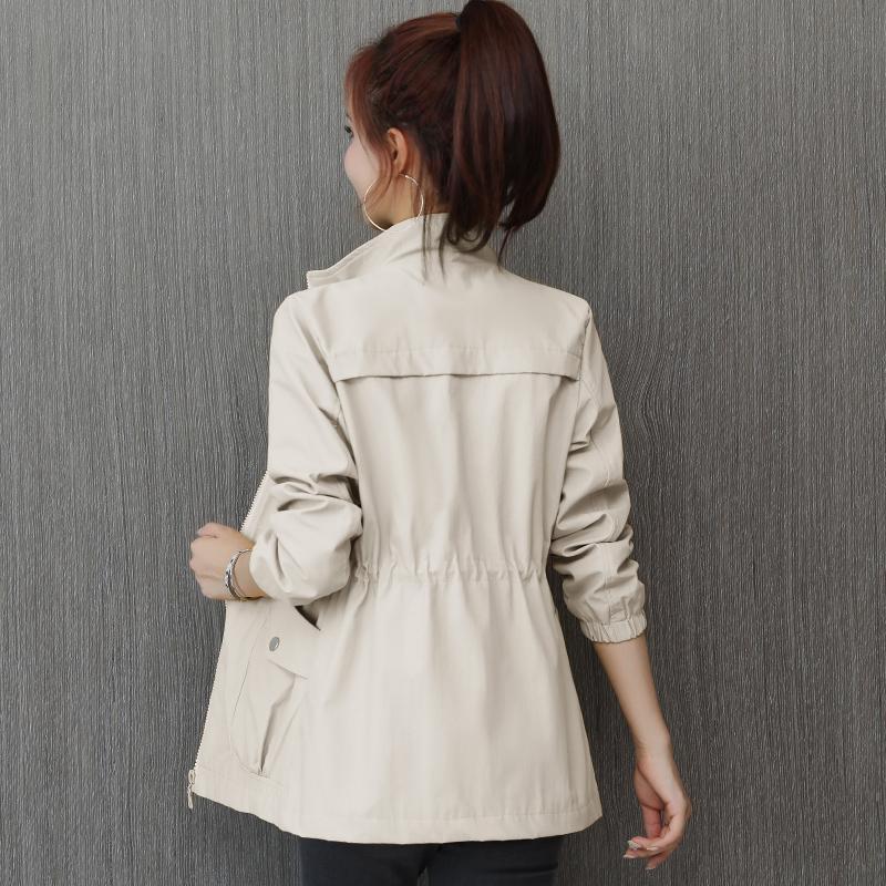 Korean Style Windbreaker With Waist And Slim Limorista