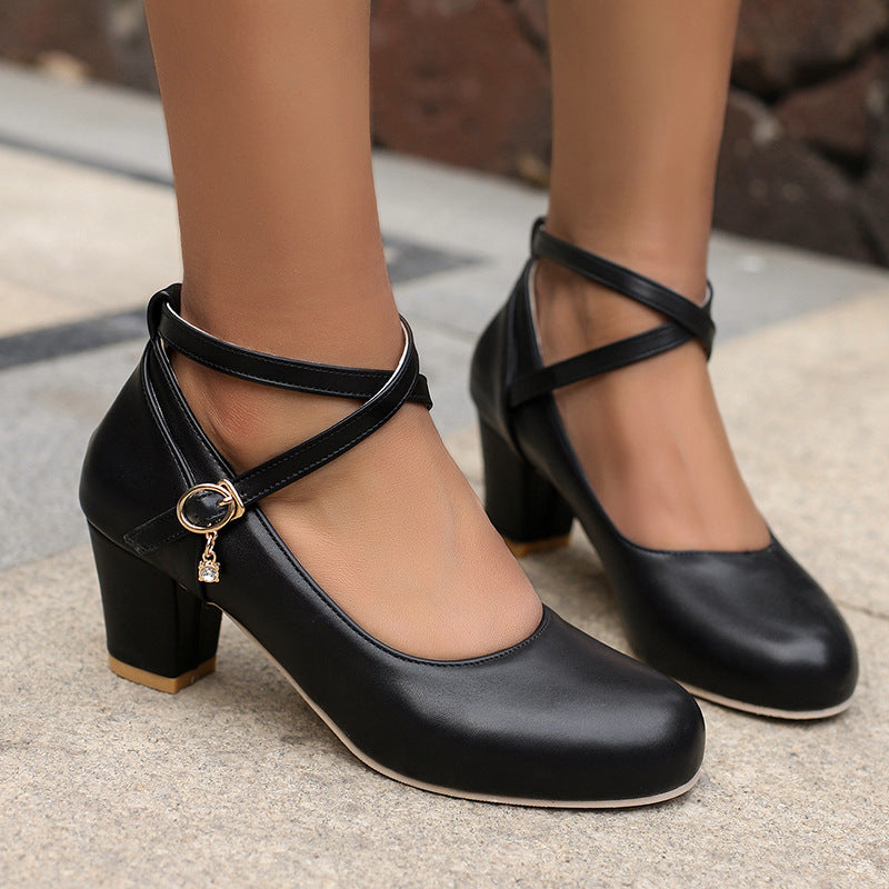 Chunky Heel High Heel Shoes Mary Jane Shoes Work Shoes Limorista
