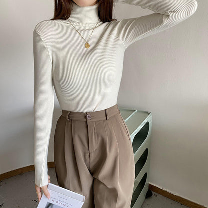 Basic All-matching Thickened Sweater Turtleneck Limorista