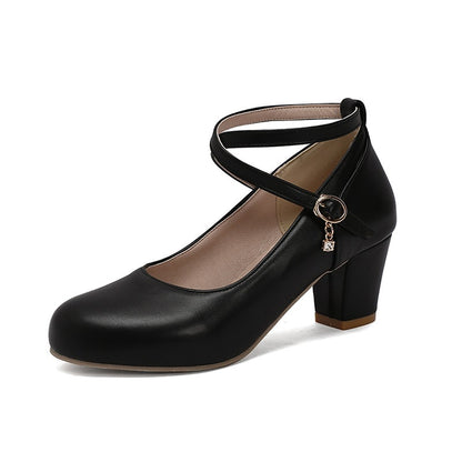 Chunky Heel High Heel Shoes Mary Jane Shoes Work Shoes Limorista