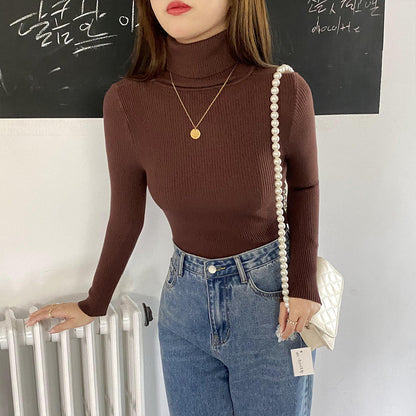 Basic All-matching Thickened Sweater Turtleneck Limorista