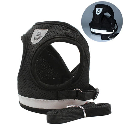 Limorista | Premium Adjustable Kiity Harness Leash Set